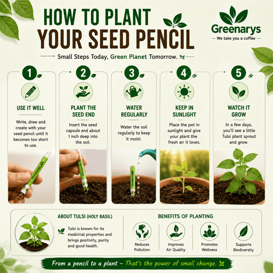 Greenarys Multicolor Paper Seed Pencil | Recycled Paper Plantable Pencil - Greenarys