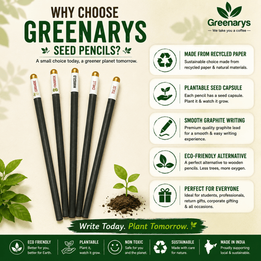 Greenarys Black color Seed Pencil | Recycled Paper Plantable Seed Pencil - Greenarys